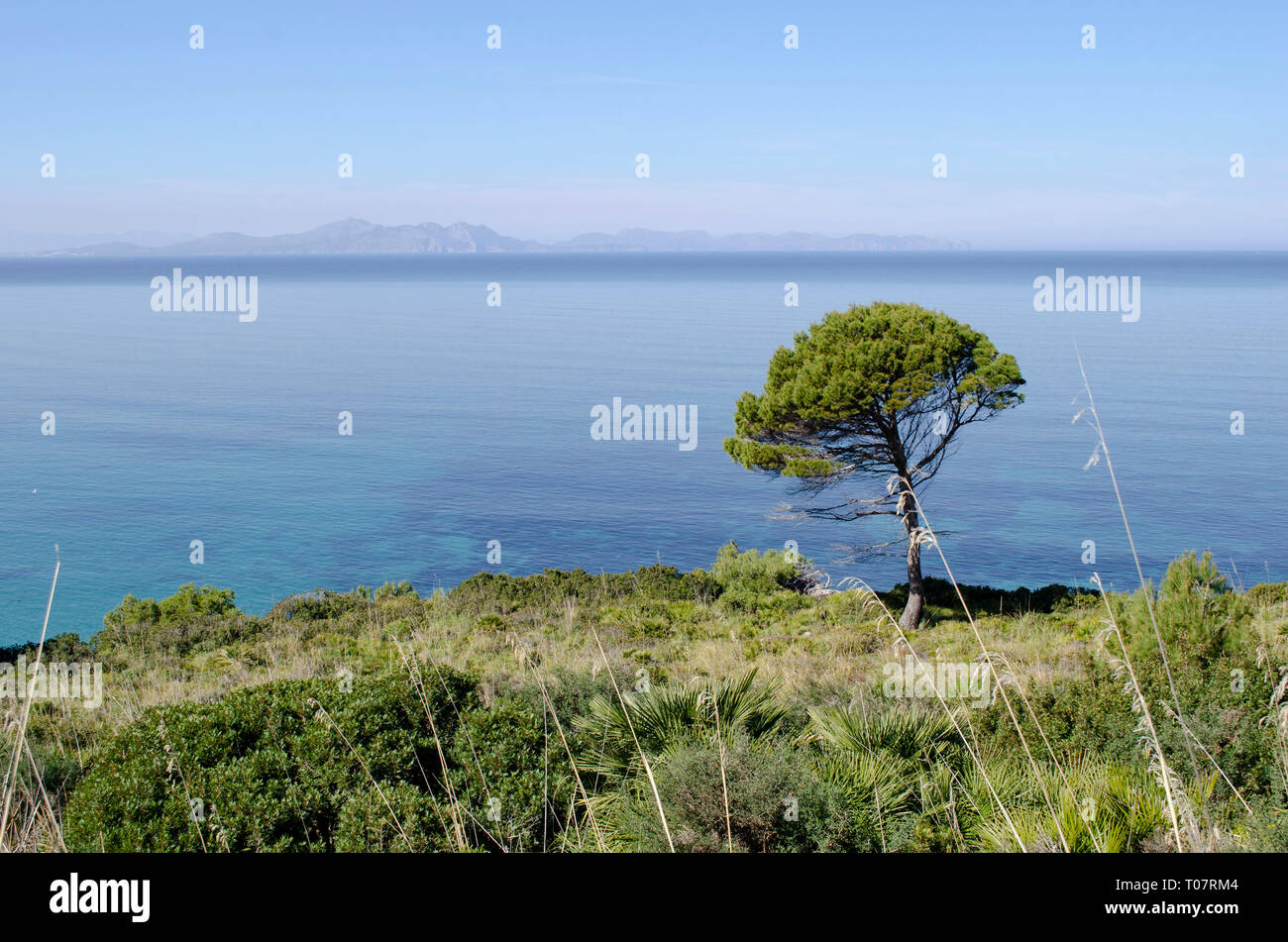 Mallorca Foto Stock