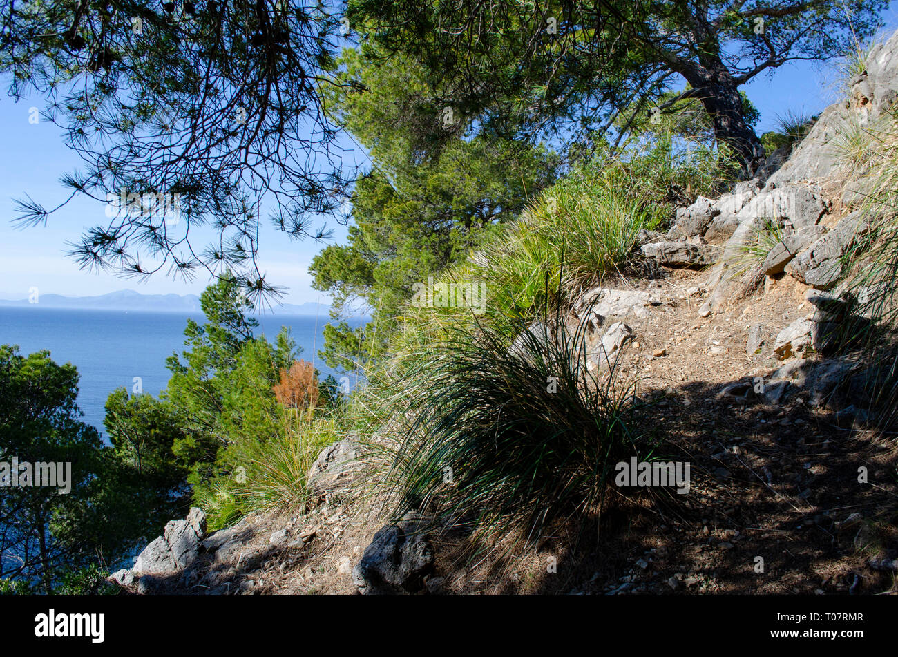 Mallorca Foto Stock