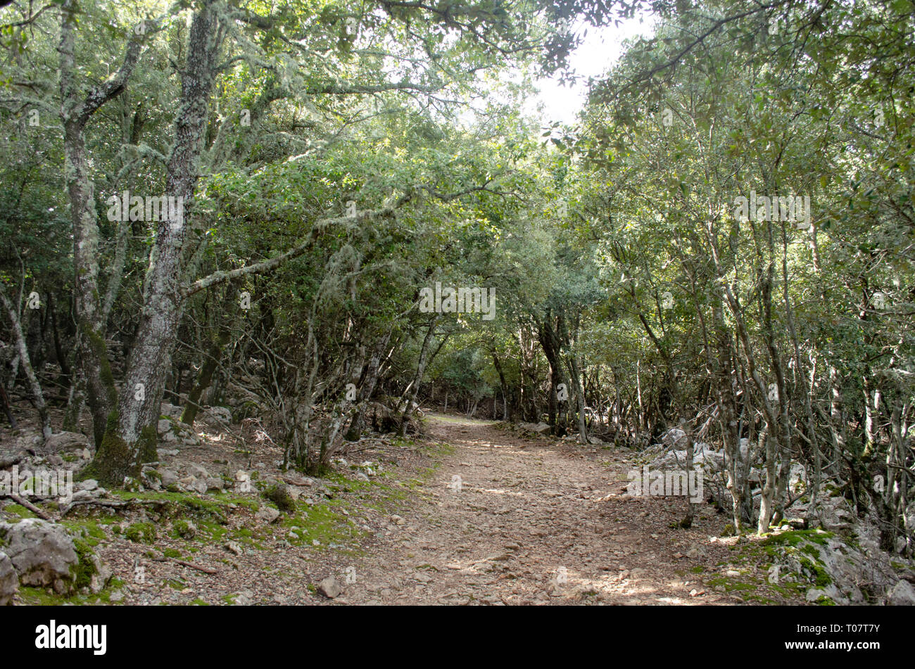 Mallorca Foto Stock