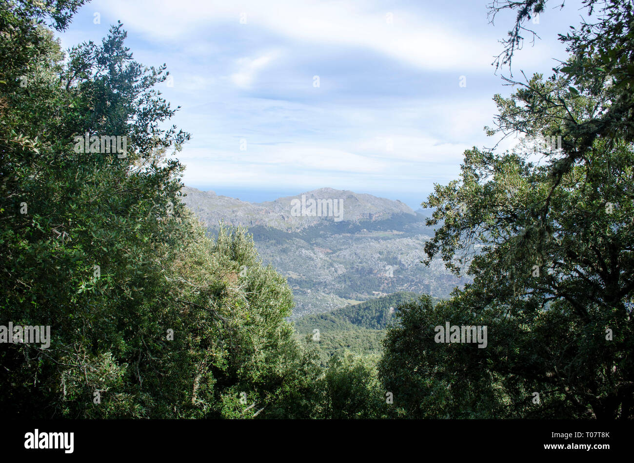 Mallorca Foto Stock