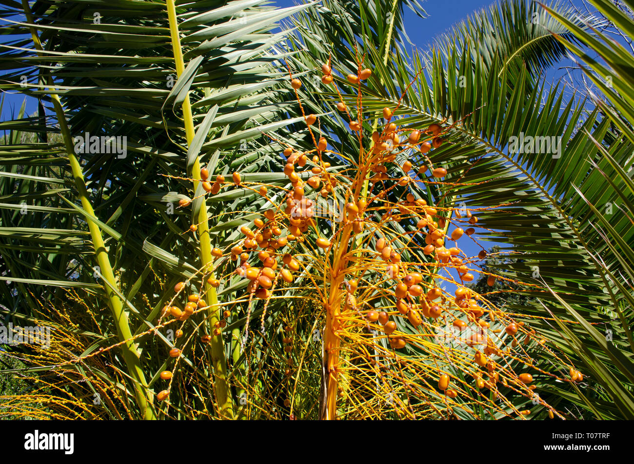 Mallorca Foto Stock