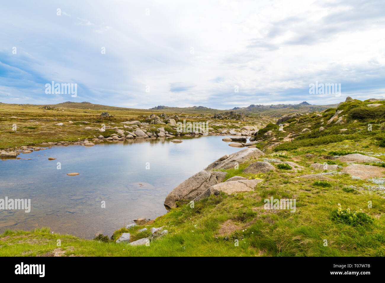Vista sul Fiume nevoso nel Kosciuszko National Park, NSW, Australia. Sullo sfondo della natura con piante e vegetazione. Foto Stock