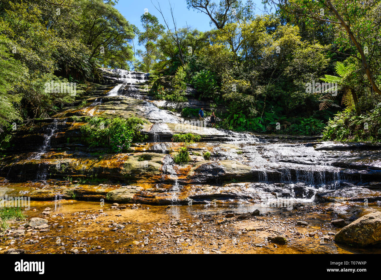 La Cascata di Katoomba è sul fiume Kedumba, nelle Blue Mountains National Park, New South Wales, Australia. Foto Stock