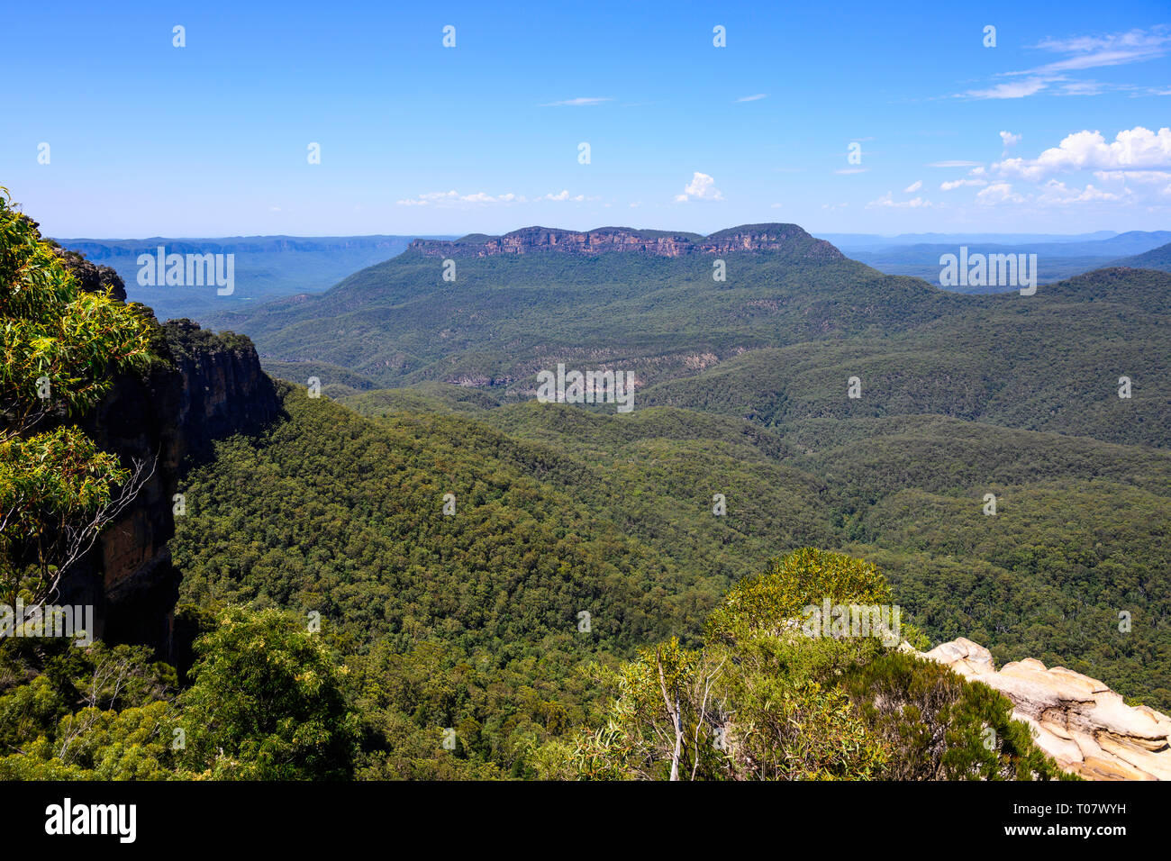 Montare solitaria, nel Parco Nazionale Blue Mountains, visto da Allambie lookout, Katoomba, Nuovo Galles del Sud, Australia. Foto Stock