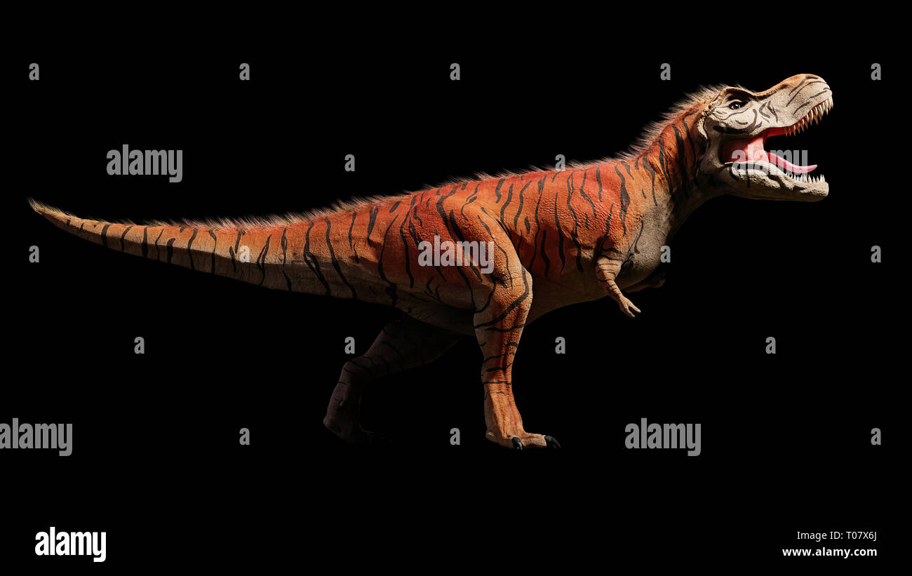 Tyrannosaurus rex, T-rex dinosauro del giurassico (3d rendering dino isolati su sfondo nero) Foto Stock