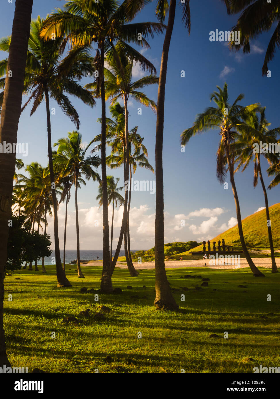 Palme in spiaggia di Anakena in Isola di Pasqua, Cile. Ahu Nau Nau moais in retro Foto Stock