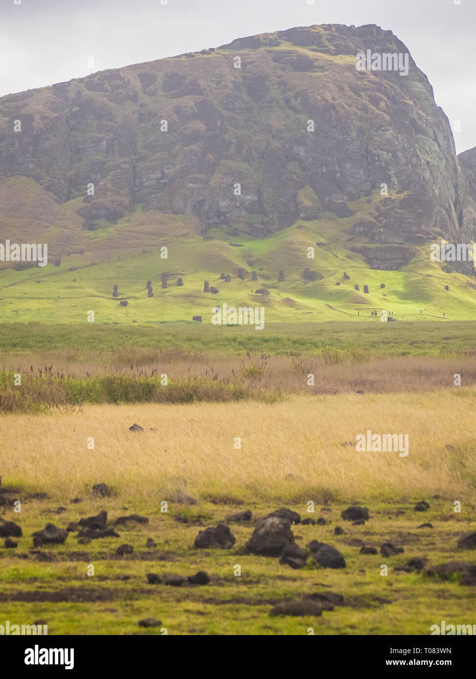 Rano Raraku vulcano, cava del moai con molte statue incompleto. Parco Nazionale di Rapa Nui, Isola di Pasqua, Cile. UNESCO - Sito Patrimonio dell'umanità. Ho Foto Stock