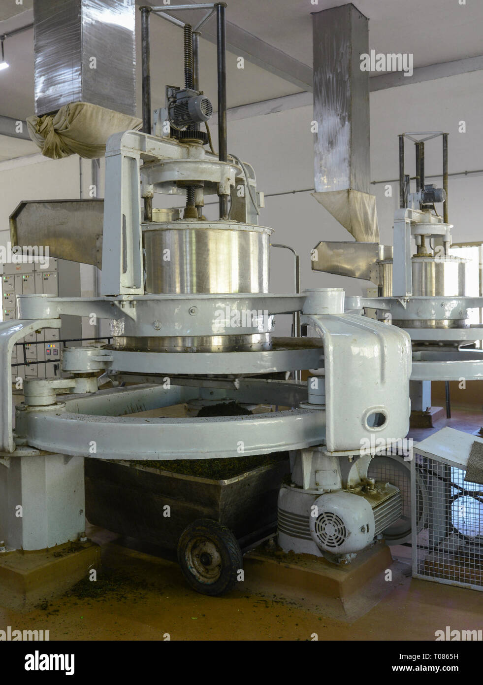 India, Darjeeling, moderne macchine a rullo in una fabbrica di tè per rompere le foglie asciutte per avviare il processo di ossidazione Foto Stock