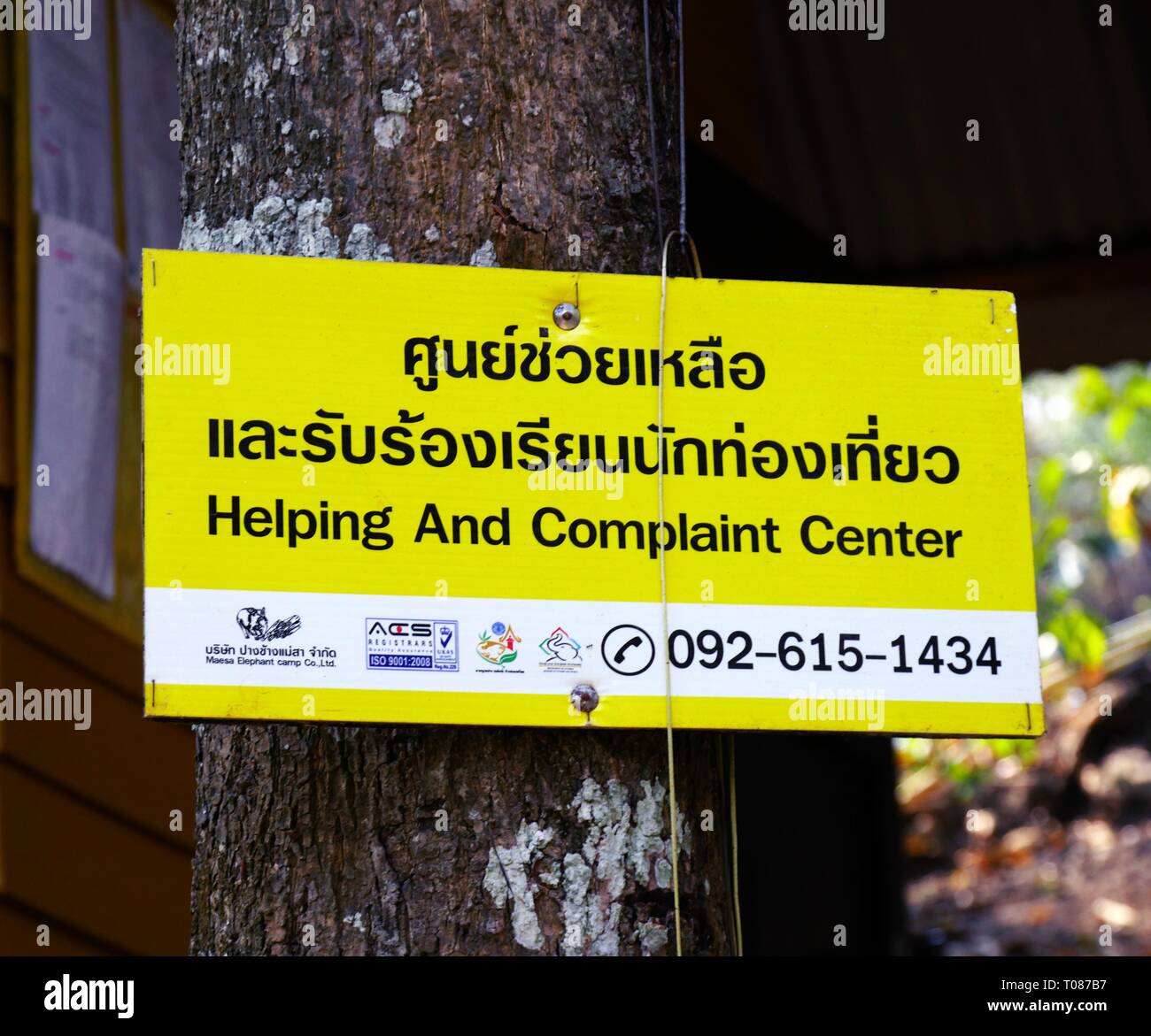 CHIANG mai, THAILANDIA--MARZO 2018: Segno giallo luminoso inchiodato ad un albero presso il centro di reclami e aiuto in un campo di elefanti a Chiang mai. Foto Stock