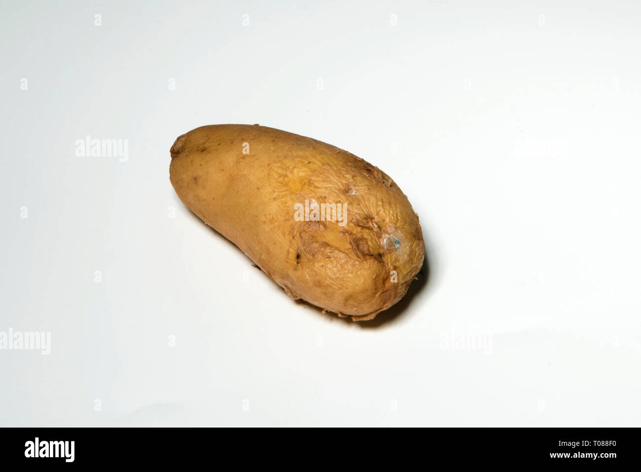 Verdorbene Lebensmittel, Kartoffel Foto Stock