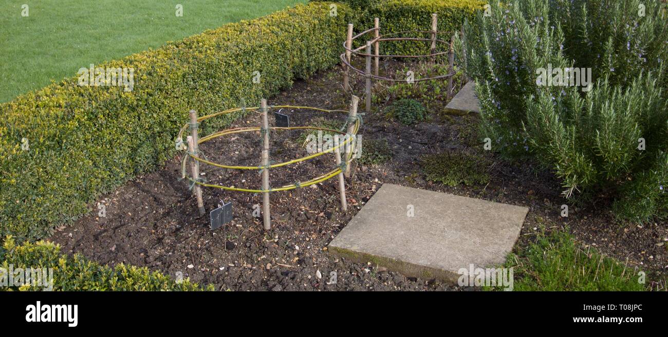 Le gabbie costruite da bastoni per proteggere la coltivazione di erbe Foto Stock