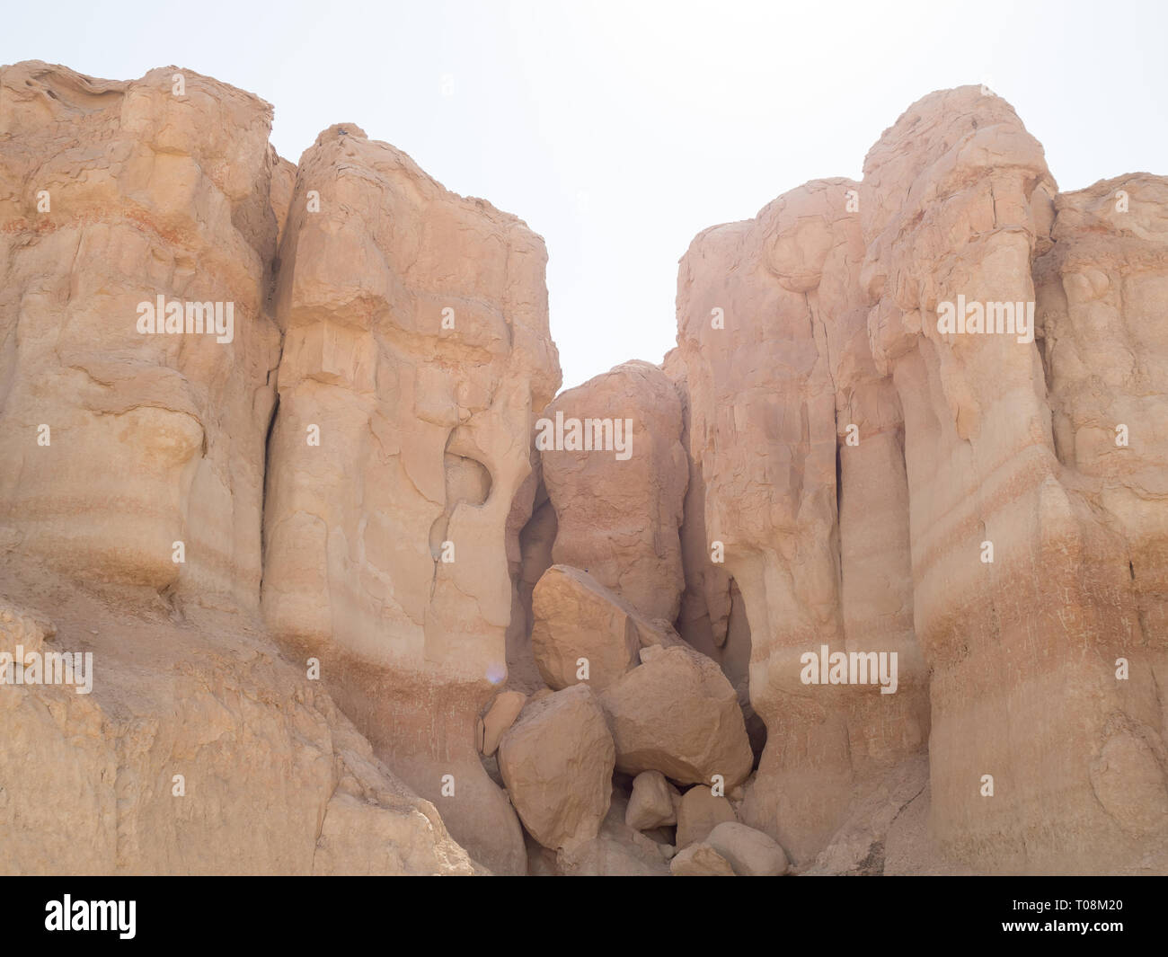 OLYMPUS FOTOCAMERA DIGITALE Foto Stock