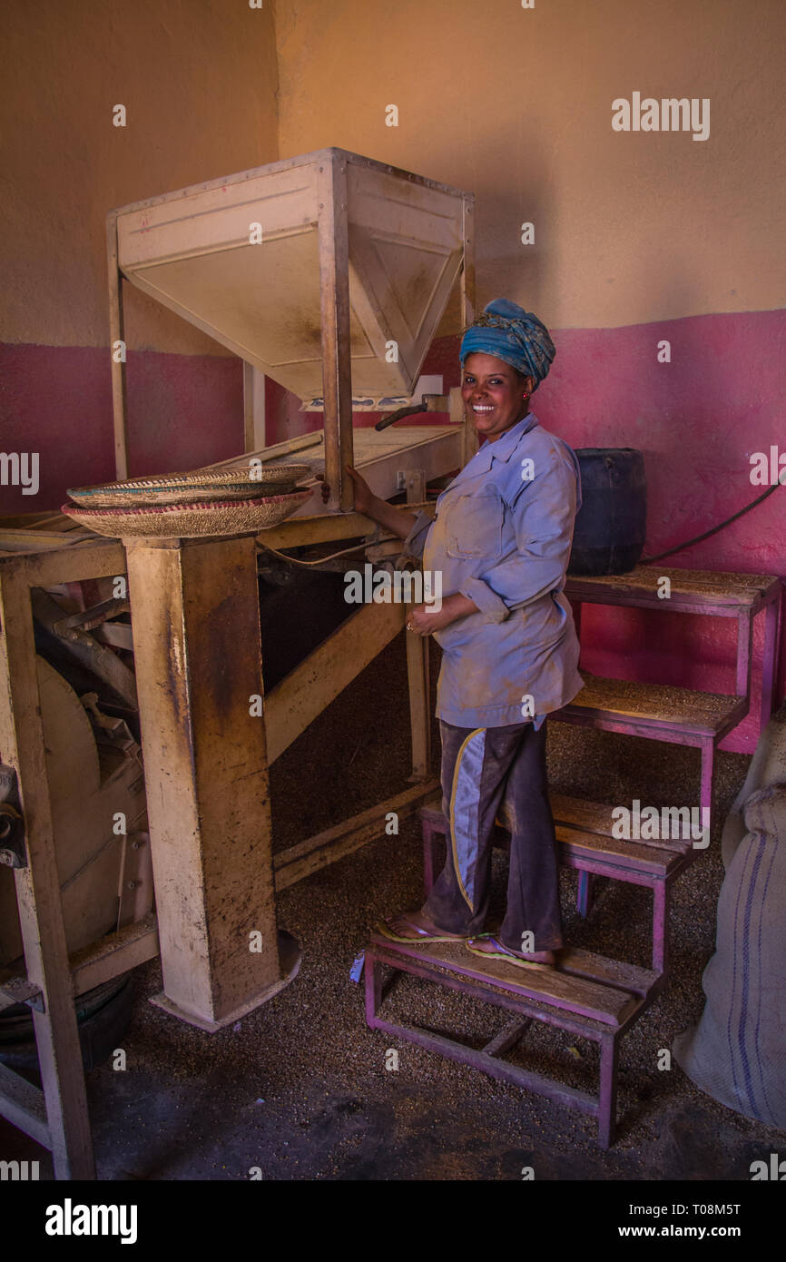 Mercato delle spezie Asmara Medeber, Eritrea, mercato delle spezie Foto Stock