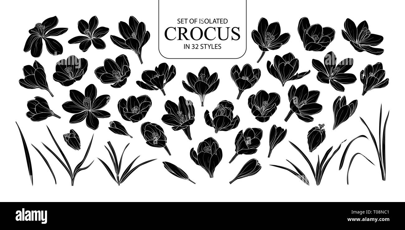 Set di silhouette isolato Crocus in 32 stili. Carino disegnato a mano fiore illustrazione vettoriale nel profilo bianco e nero piano su sfondo bianco. Illustrazione Vettoriale