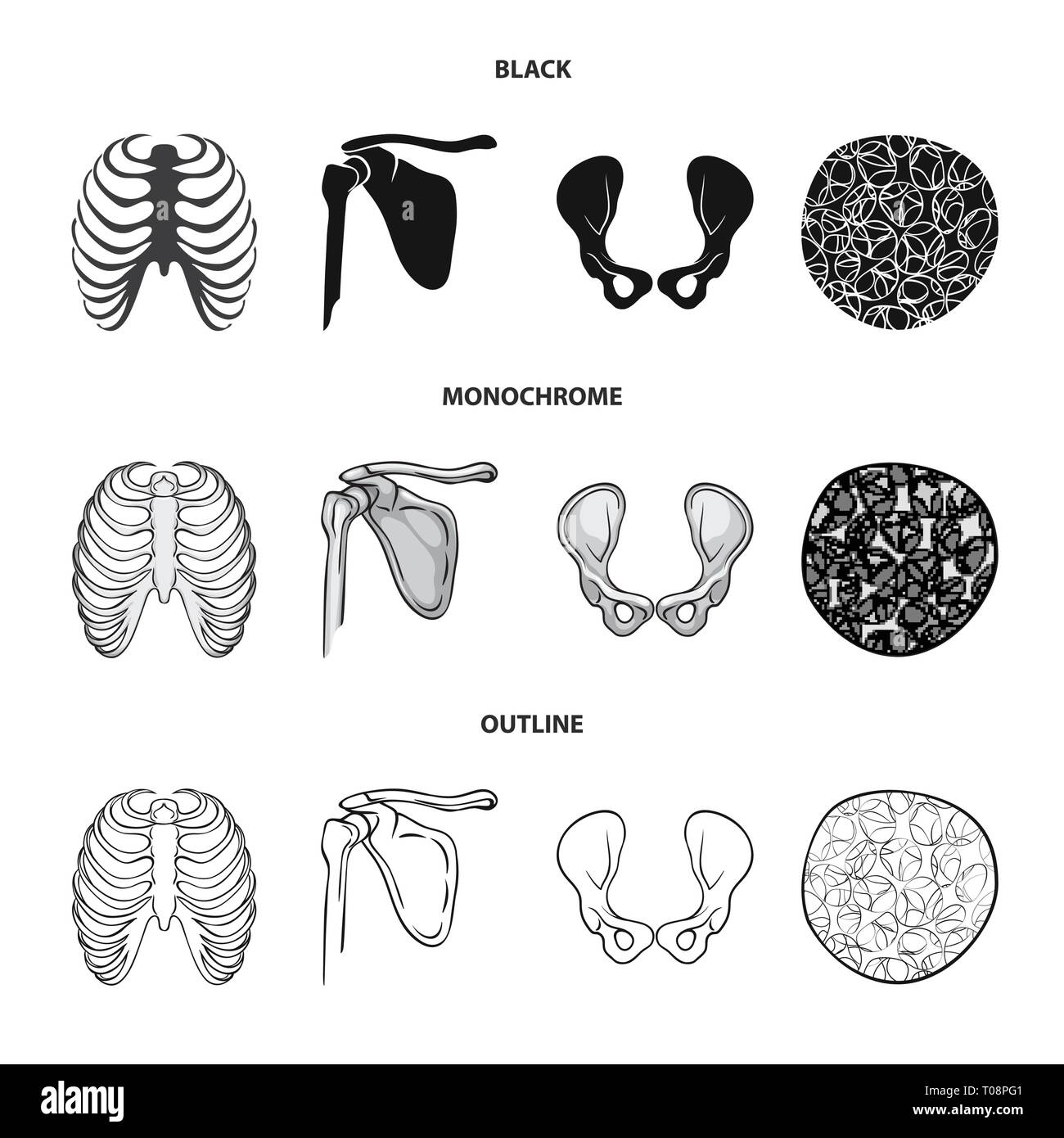 Nervatura,femore,hip,l'osteoporosi,gabbia,bacino,congiunto,cell,xray,tessuto,corpo,pelvico chirurgia,,tessuto connettivo,colonna vertebrale,sano,la cartilagine,sterno,gamba,struttura,sterno,calcio,apparato muscoloscheletrico,articolazioni,sistema,driftwood,TENDINE,movimento,medicina clinica,,biology,medical,osso,skeleton,anatomia umana,,organi,impostare,vettore,icona,immagine,isolato,raccolta,design,l'elemento,graphic,segno vettori vettore , Illustrazione Vettoriale
