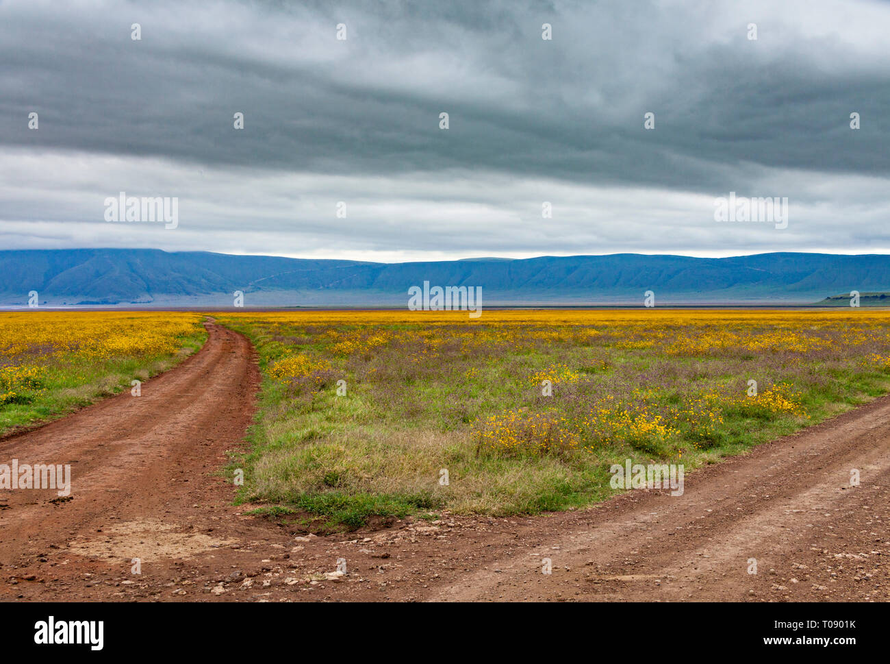 Fork In The Road Foto Stock