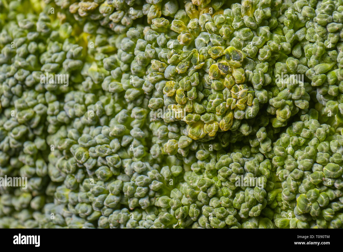 Luce verde di broccoli sfondo macro Foto Stock