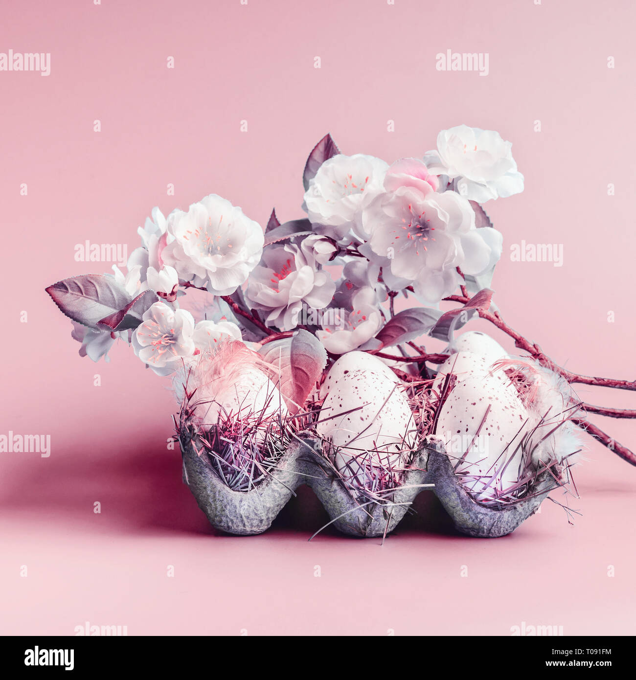 Uova di Pasqua in griglia con le piume e la primavera sbocciano i fiori a pastello sfondo rosa Foto Stock