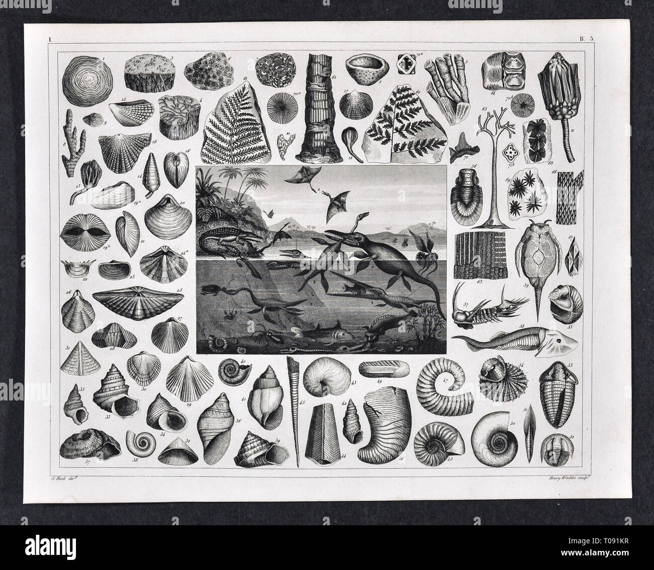 1849 Bilder Atlas Stampa - fossili preistorici dal Giurassico che mostra vari Plesiosaurs, Pterodactyl e altri Foto Stock