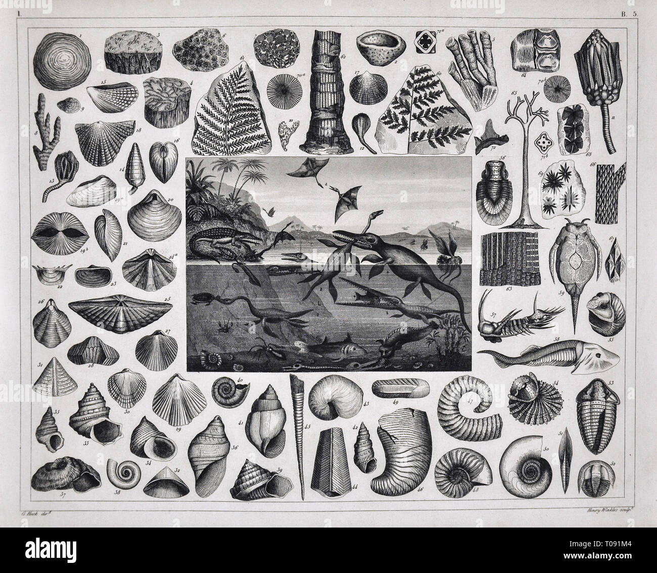 1849 Bilder Atlas Stampa - fossili preistorici dal Giurassico che mostra vari Plesiosaurs, Pterodactyl e altri Foto Stock