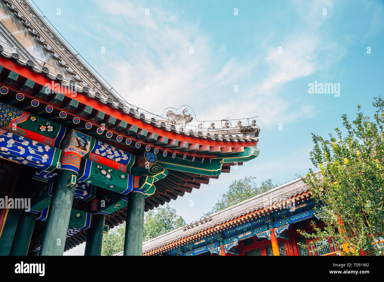 Prince Gong's Mansion, Gong Wang Fu a Pechino in Cina Foto Stock