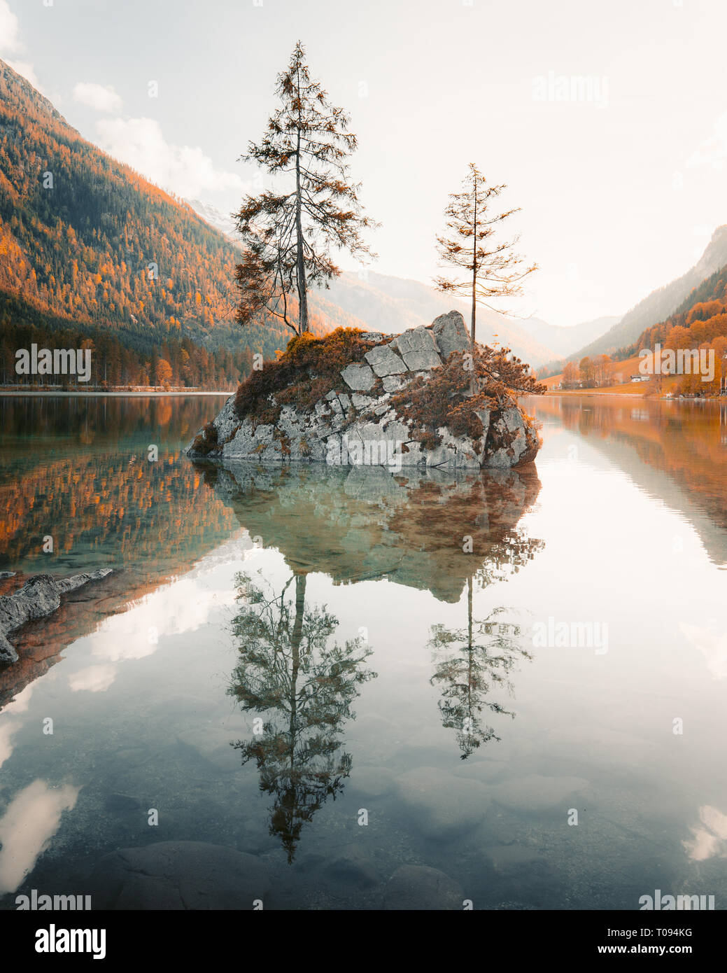 Bella vista sugli alberi su un isola di roccia in uno scenario idilliaco presso l'incantevole lago di Hintersee al tramonto, Berchtesgaden, Baviera, Germania Foto Stock