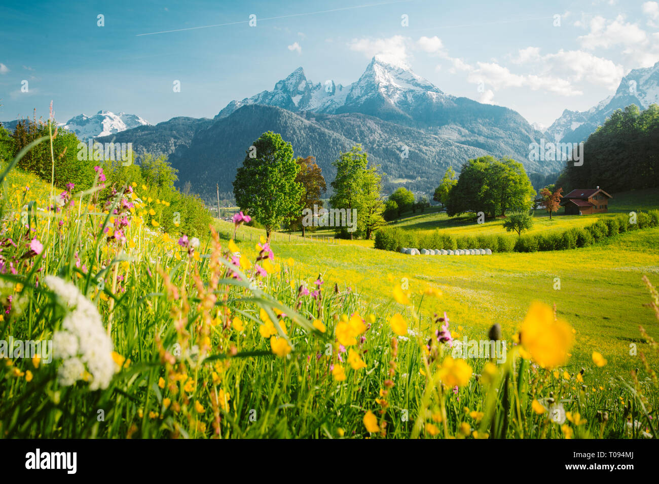Bella vista della montagna idilliaco paesaggio di montagna con prati in fiore e cime picchi di montagna in una bella giornata di sole con cielo blu in primavera Foto Stock