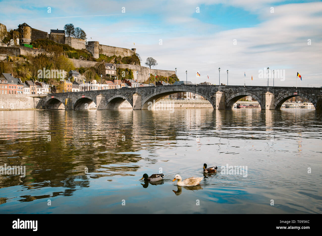 Visualizzazione classica della storica città di Namur con il famoso Ponte Vecchio attraversando scenic Fiume Meuse in estate, in provincia di Namur, in Vallonia, Belgio Foto Stock