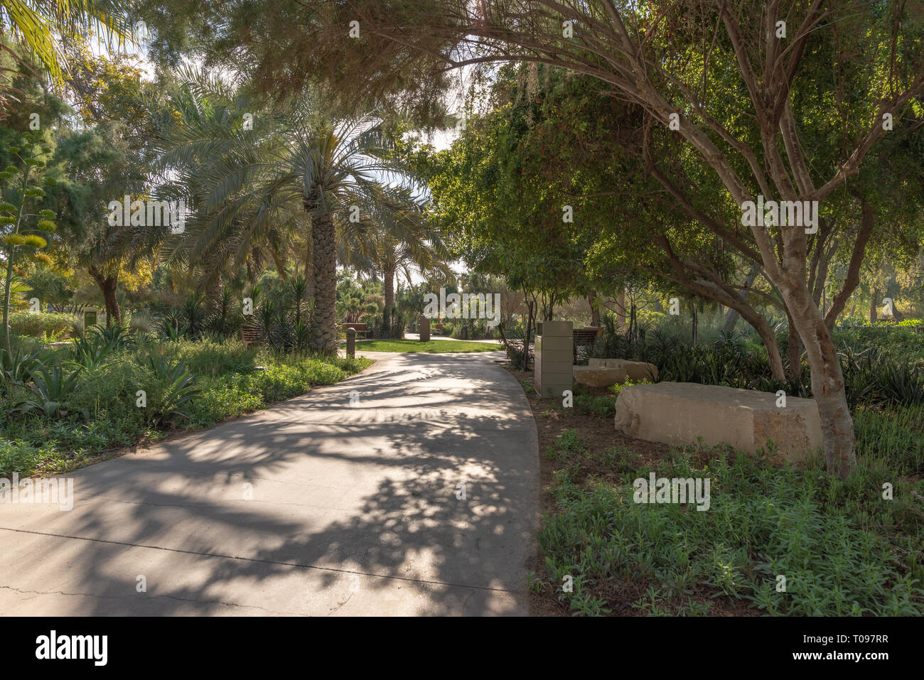 Il percorso di attesa per un primo romantica passeggiata mattutina nel deserto urbano impostazione di Umm Al Emarat Park, Abu Dhabi, Emirati Arabi Uniti Foto Stock