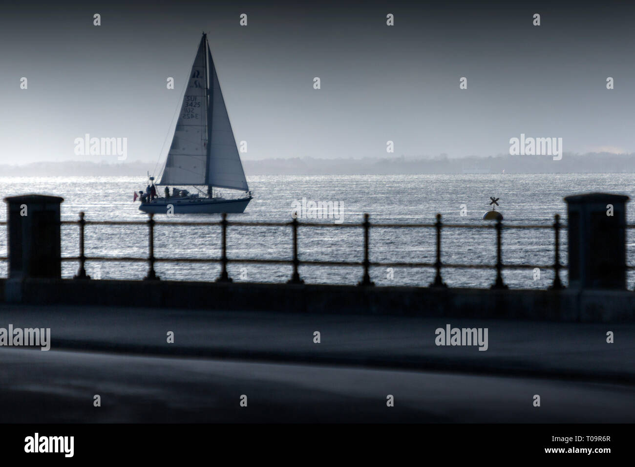 Vela, Yacht,a,Silhouette,pomeriggio,racing,navigazione,lungomare,parade,victoris,l'Solent,Cowes, Isle of Wight, England, Regno Unito, Foto Stock