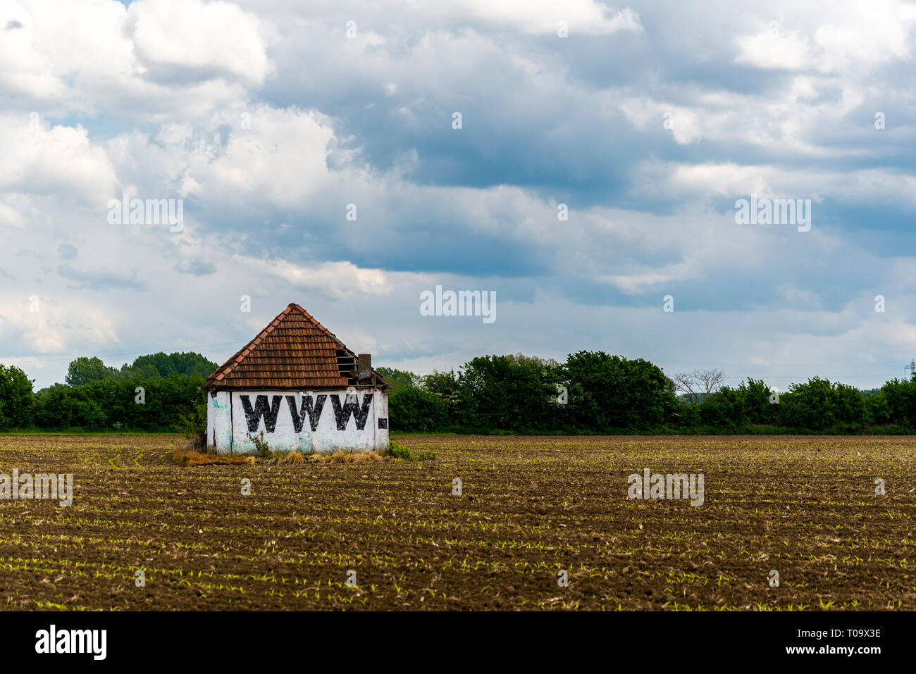 World wide web granaio, nel mezzo di un campo Foto Stock