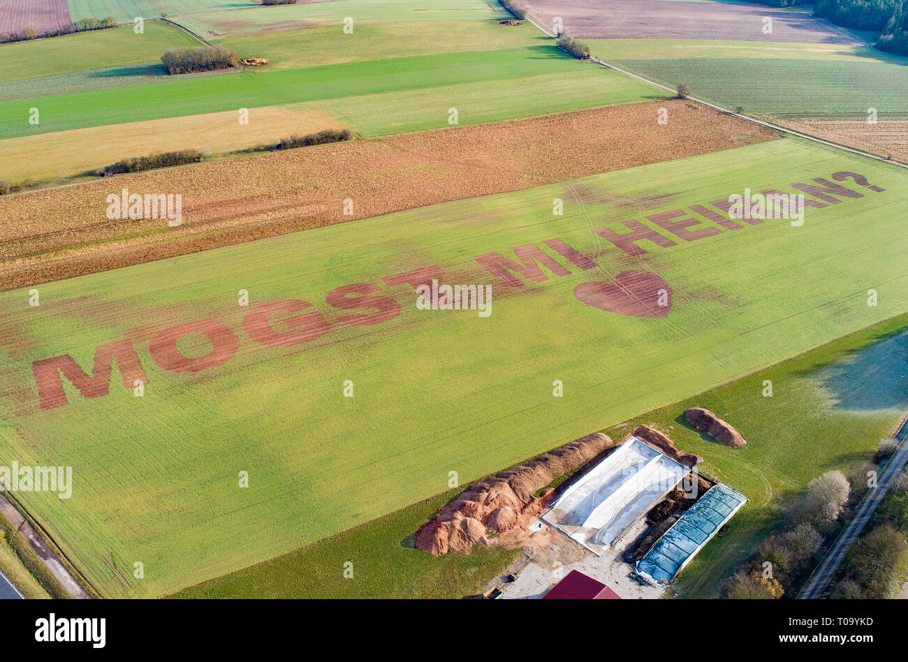 Hahnbach, Germania. Xvii Mar, 2019. In overdiemensional lettere in un campo è scritto "ogst mi heiran?". Agricoltore Florian Weiß dall'Alto Palatinato ha seminato una proposta di matrimonio con la sua fidanzata in un campo. Lo scorso autunno, seminava orzo con una particolare macchina precisa, tutta la cosa è cresciuta per un paio di settimane fino a quando ha preso la sua fidanzata con lui al campo nel distretto di Amberg-Sulzbach, lasciare una gru viaggiare con lei per un'altezza di 30 metri e infine ha chiesto la sua interrogazione. La risposta è stata positiva - Il matrimonio deve avvenire questo ottobre. (Foto scattata con un drone) Foto: Thilo Hi Foto Stock