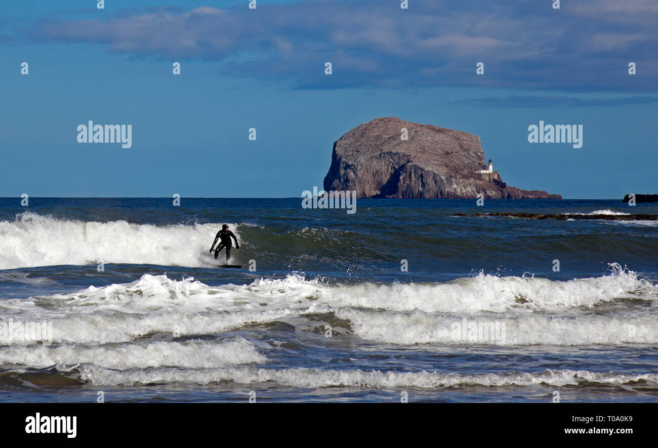 A North Berwick, East Lothian, Scozia, surfer surf con Bass Rock in background e croccante blu del cielo con la luce la copertura nuvolosa, sebbene la temperatura era di circa 10 gradi. Foto Stock