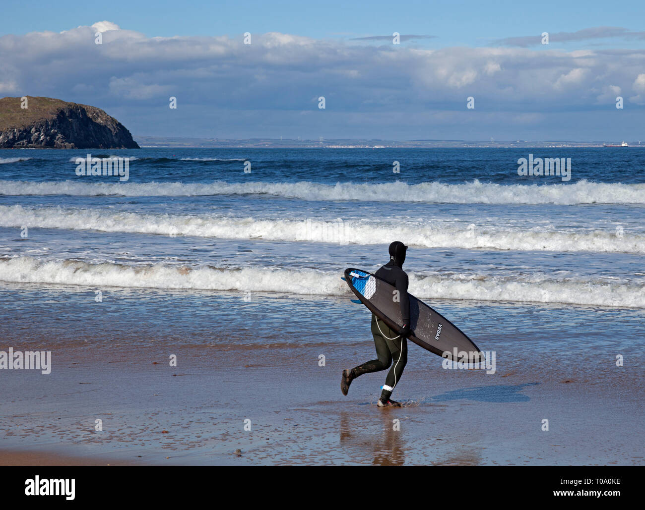 A North Berwick, East Lothian, Scozia, Regno Unito, un maschio surfer che corre lungo la spiaggia di sabbia verso il mare. Foto Stock