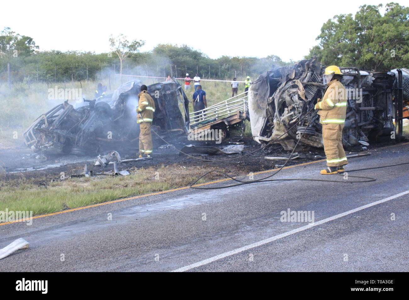 A Windhoek, Namibia. Xvii Mar, 2019. I vigili del fuoco di spegnere un incendio di relitti di due veicoli coinvolti in una collisione vicino Otavi, Namibia settentrionale, il 17 marzo 2019. Il Presidente della Namibia Hage Geingob lunedì ha esteso il suo cordoglio dopo 13 passeggeri sono stati bruciati a morte durante una collisione tra due mini-bus lungo il paese della B1 autostrada. Secondo una dichiarazione rilasciata dalla Namibia forza di polizia (Nampol) Lunedì, l'incidente accaduto il 17 marzo a circa 3 km da Otavi di Tsumeb sulla B1 Road. Credito: NAMPA/Xinhua/Alamy Live News Foto Stock