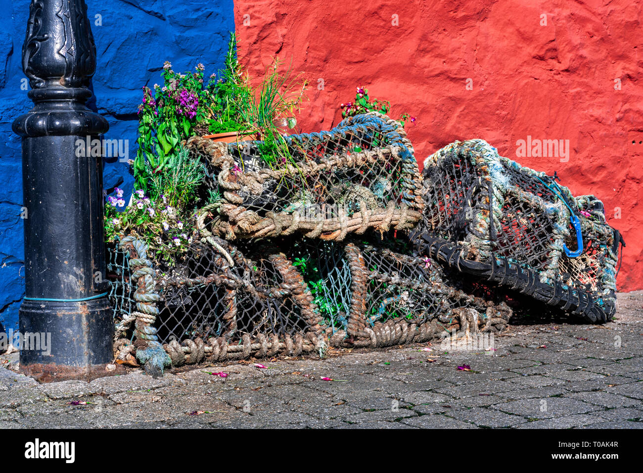 Gabbie di granchio in Fishguard ,Pembrokeshire,Galles,l'Inghilterra,UK Foto Stock