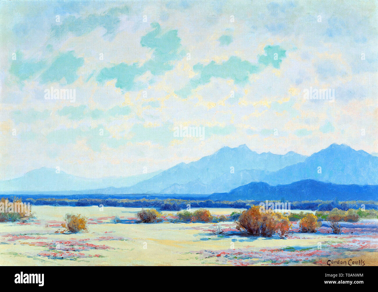 Deserto in fiore da Gordon Coutts Foto Stock