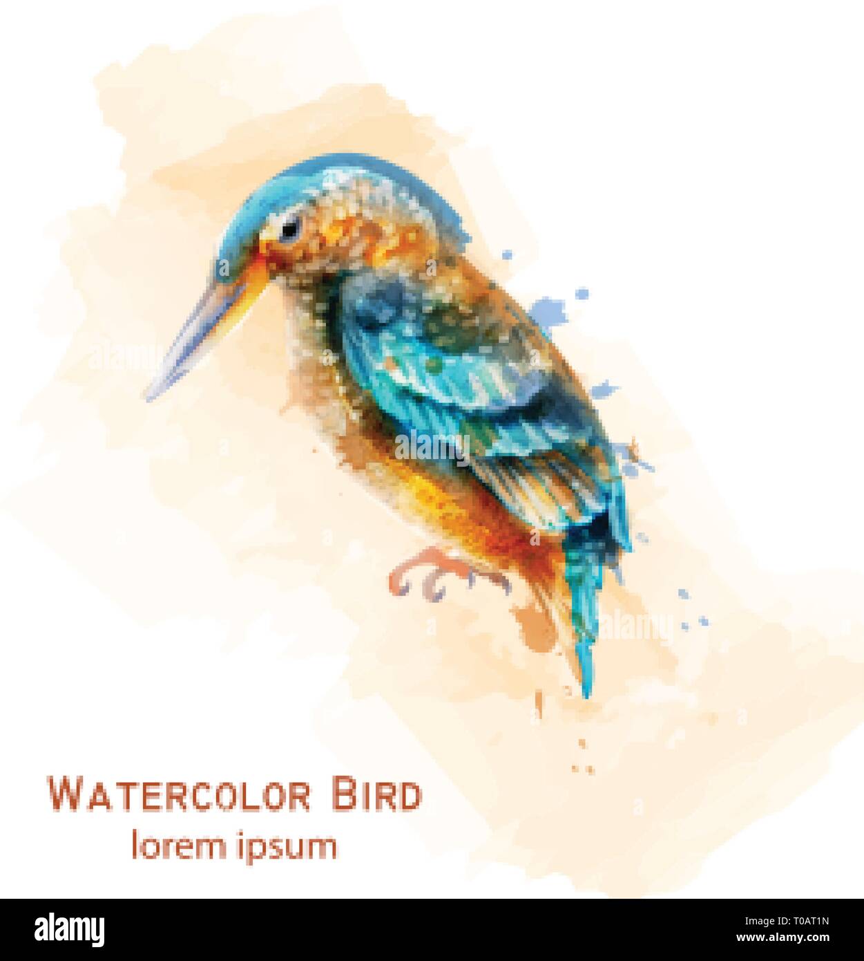 Kingfisher uccello acquerello del vettore. Colorato tropic bird isolato su bianco Illustrazione Vettoriale