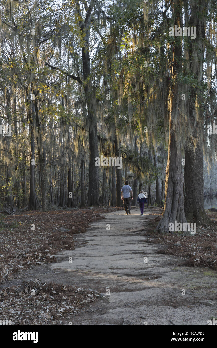 Due persone sono a piedi a caddo Lake State Park, Texas Foto Stock