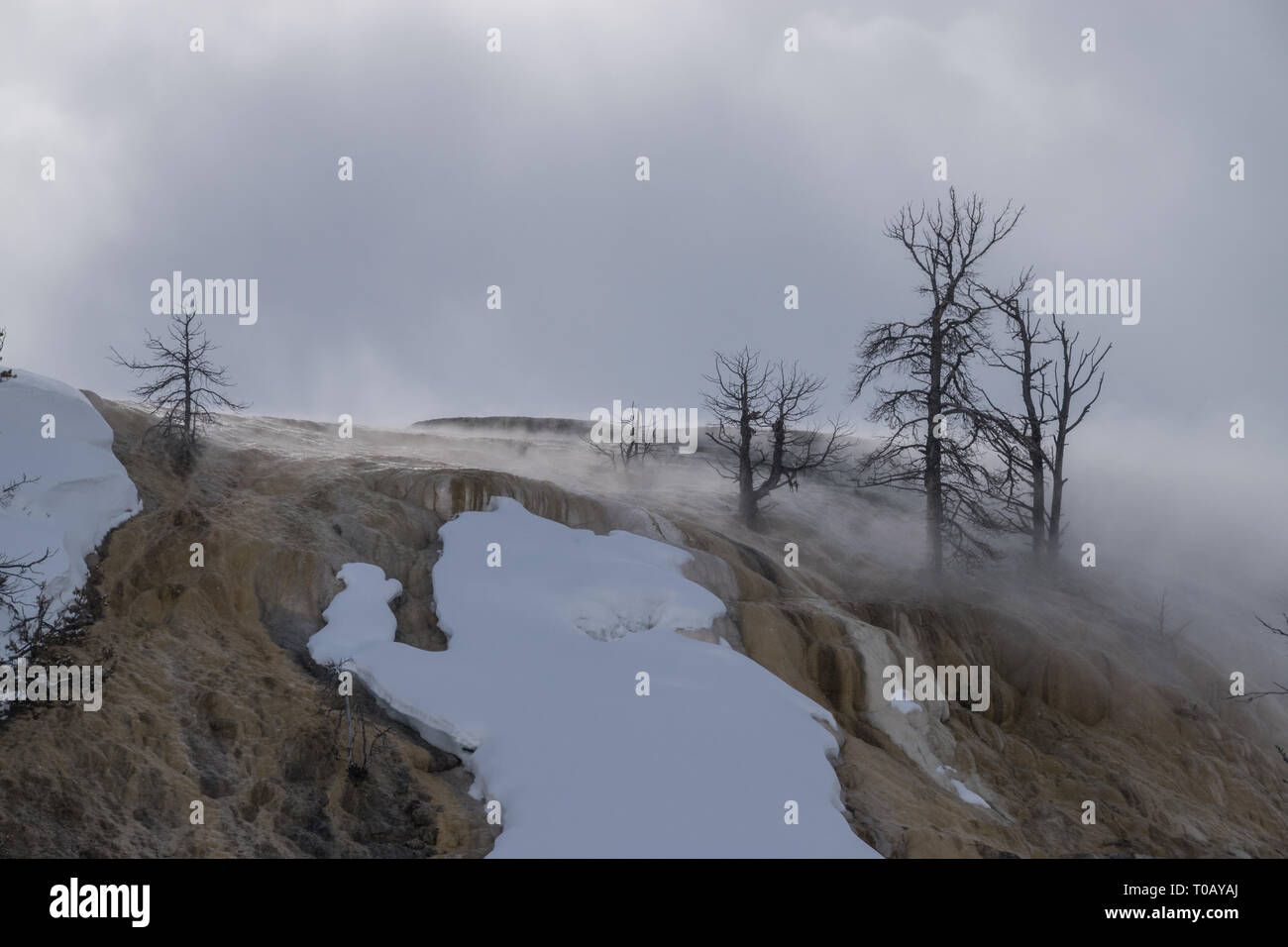 La nebbia rotolando su di una formazione rocciosa a Mammoth Hot​ molle in inverno al Parco Nazionale di Yellowstone. Foto Stock