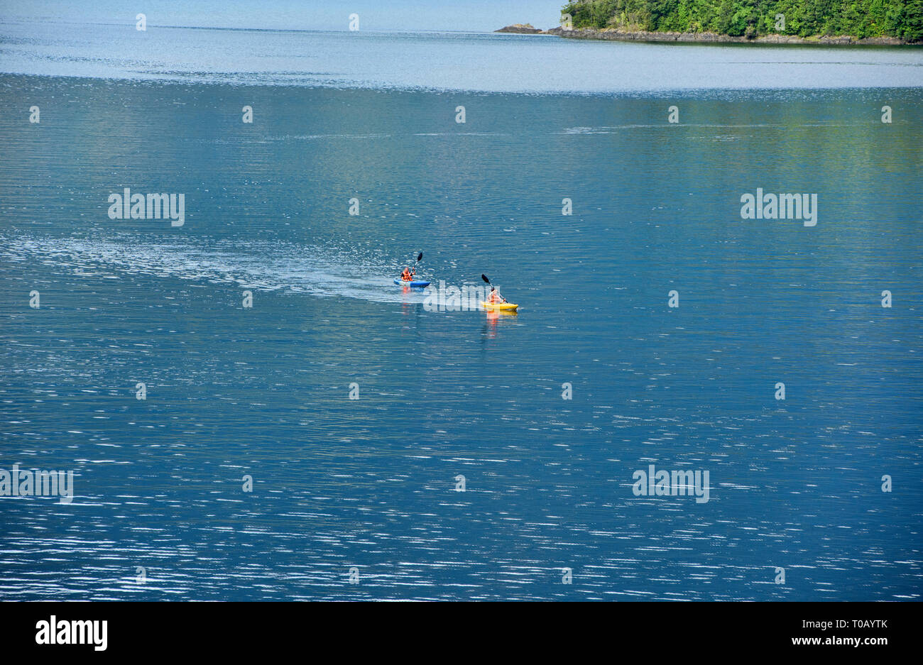 Kayak di Puyuhuapi fiordo nel suono Ventisquero, Patagonia, Aysen, Cile Foto Stock