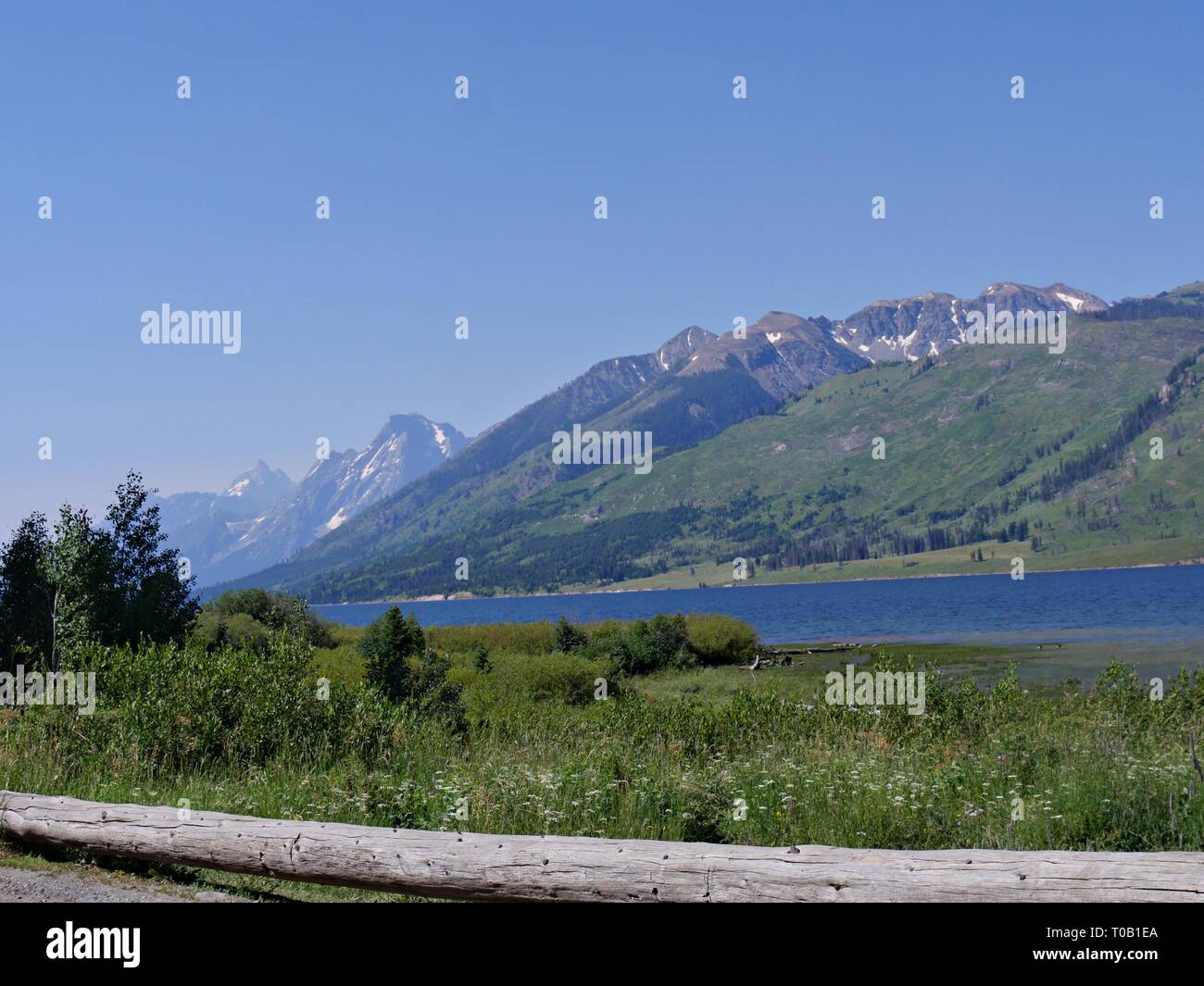 Vista laterale delle catene montuose di Teton con il lago Jackson al Grand Teton National Park nel Wyoming. Foto Stock