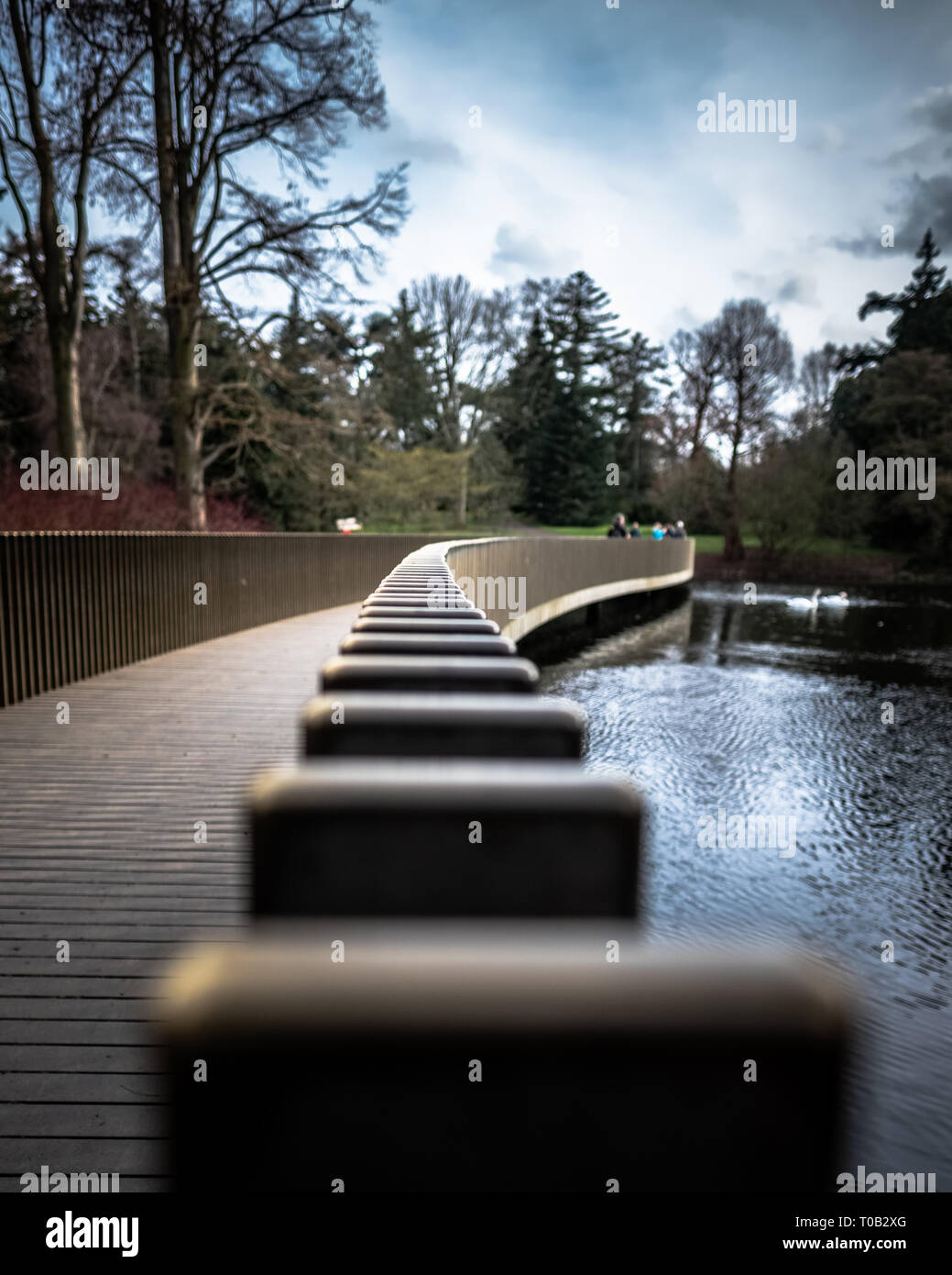 La Sackler Crossing in London Kew Gardens. Foto Stock