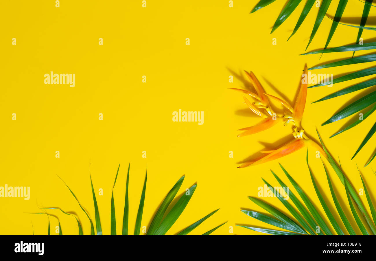 Il verde delle foglie di palma e heliconia fiore su sfondo giallo. Lay piatto carattere minimo di stile tropicale di foglie di palmo su sfondo giallo. Summ Foto Stock
