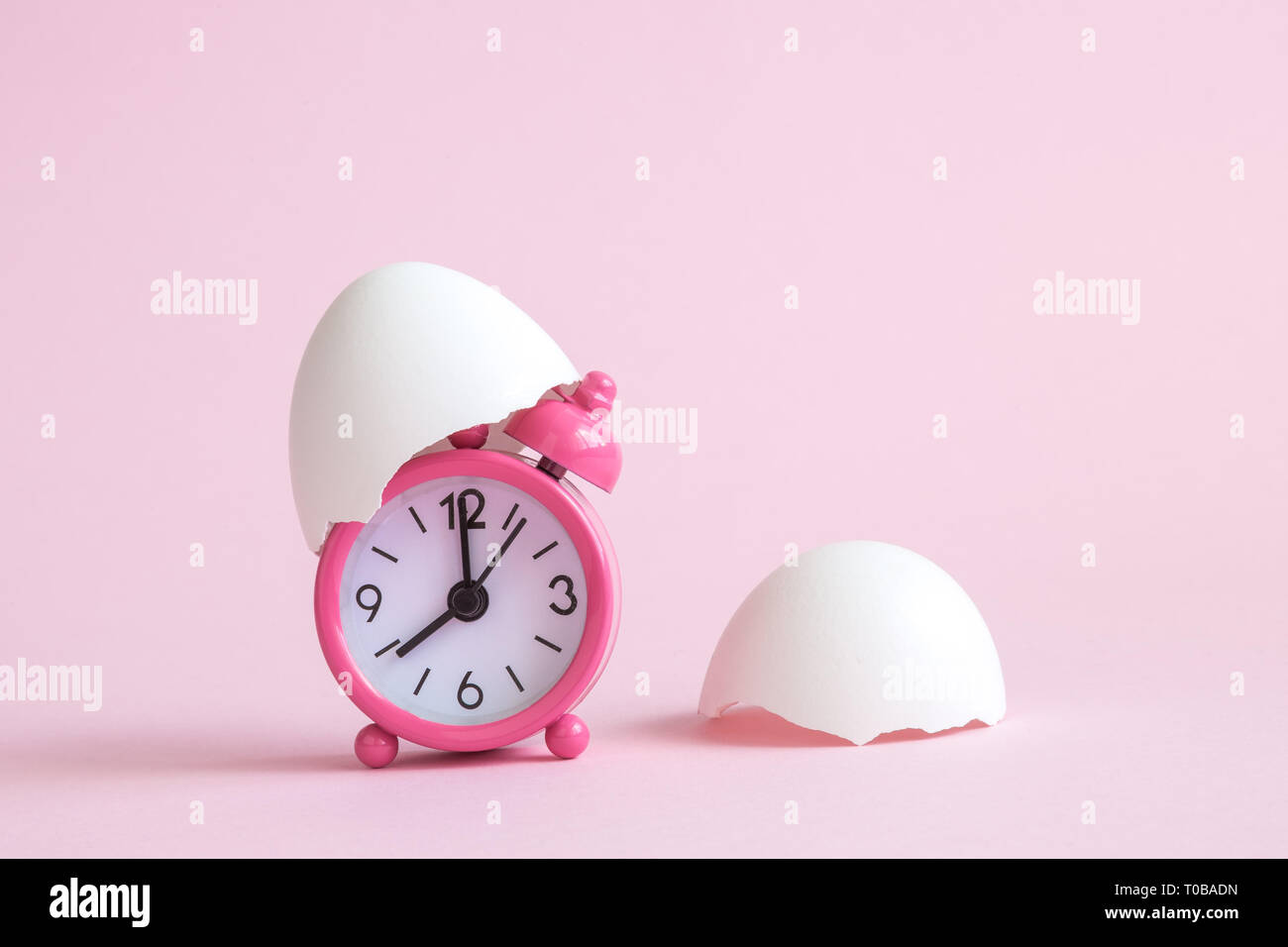 I gusci d'uovo e piccola sveglia pastello su sfondo rosa il minimo tempo di Pasqua concetto creativo. Spazio per la copia. Foto Stock
