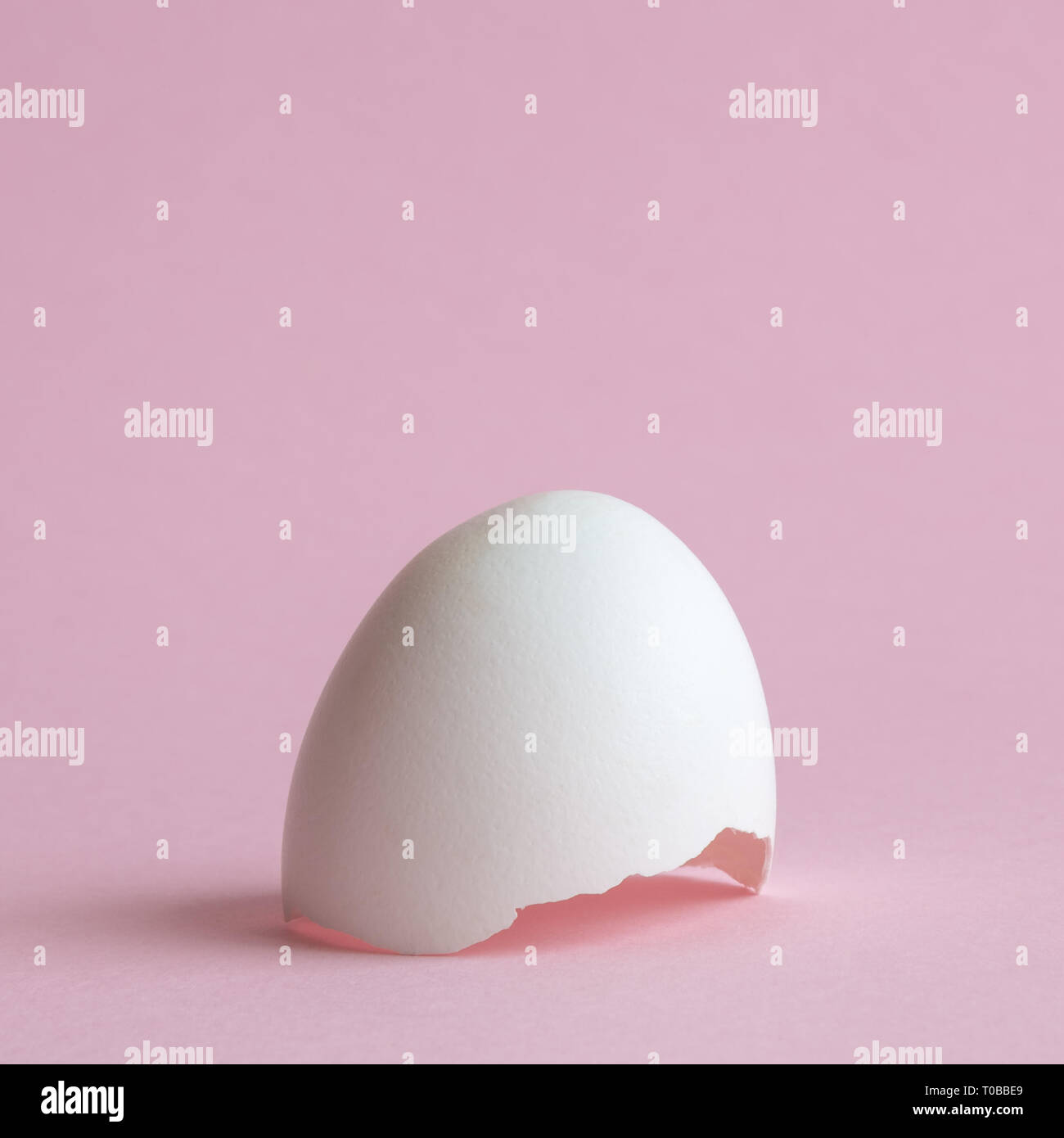 Il guscio delle uova contro rosa pastello background creativo minima nozione di pasqua. Foto Stock