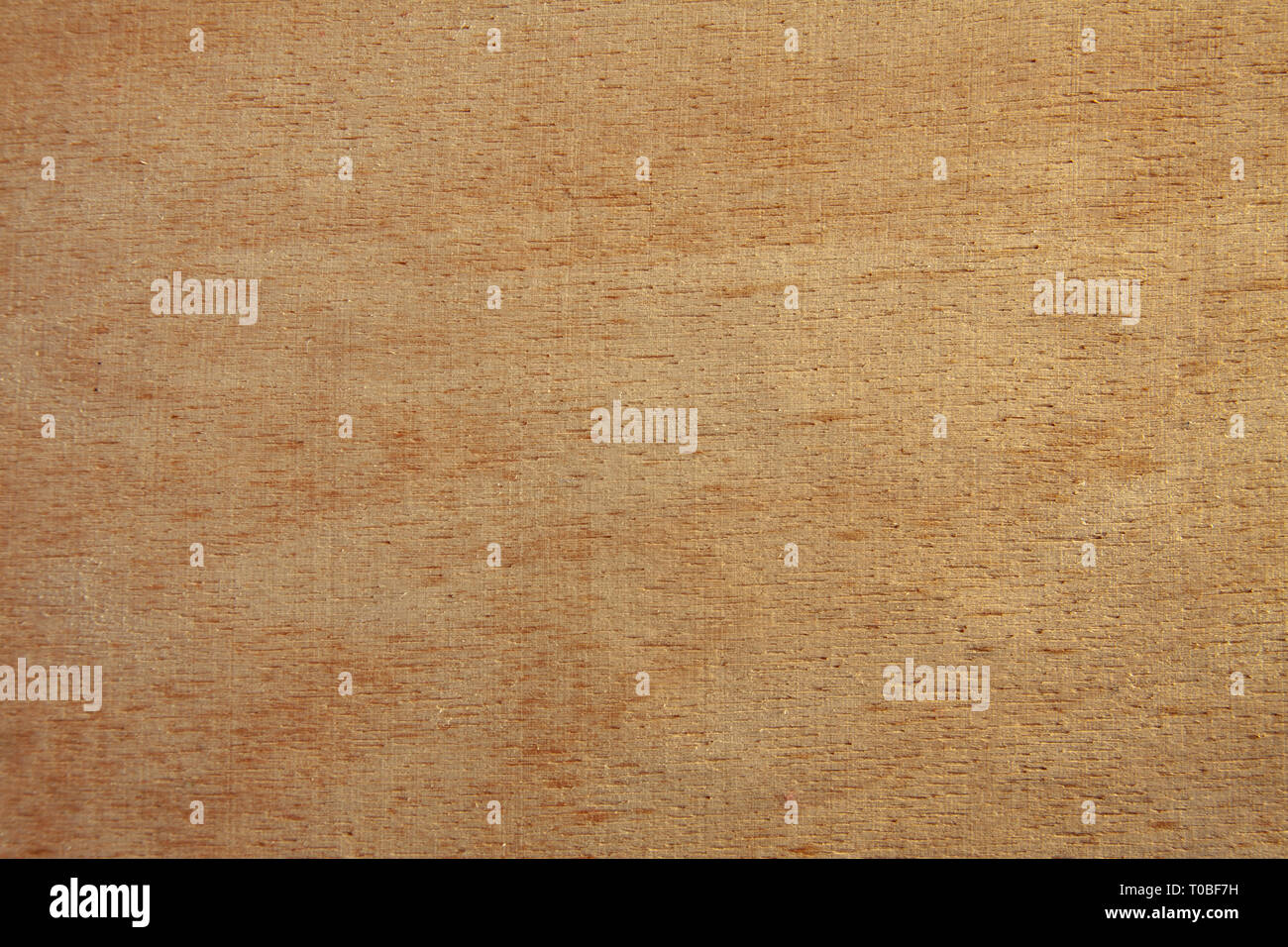 Il legno vecchio texture di sfondo. Close up Foto Stock