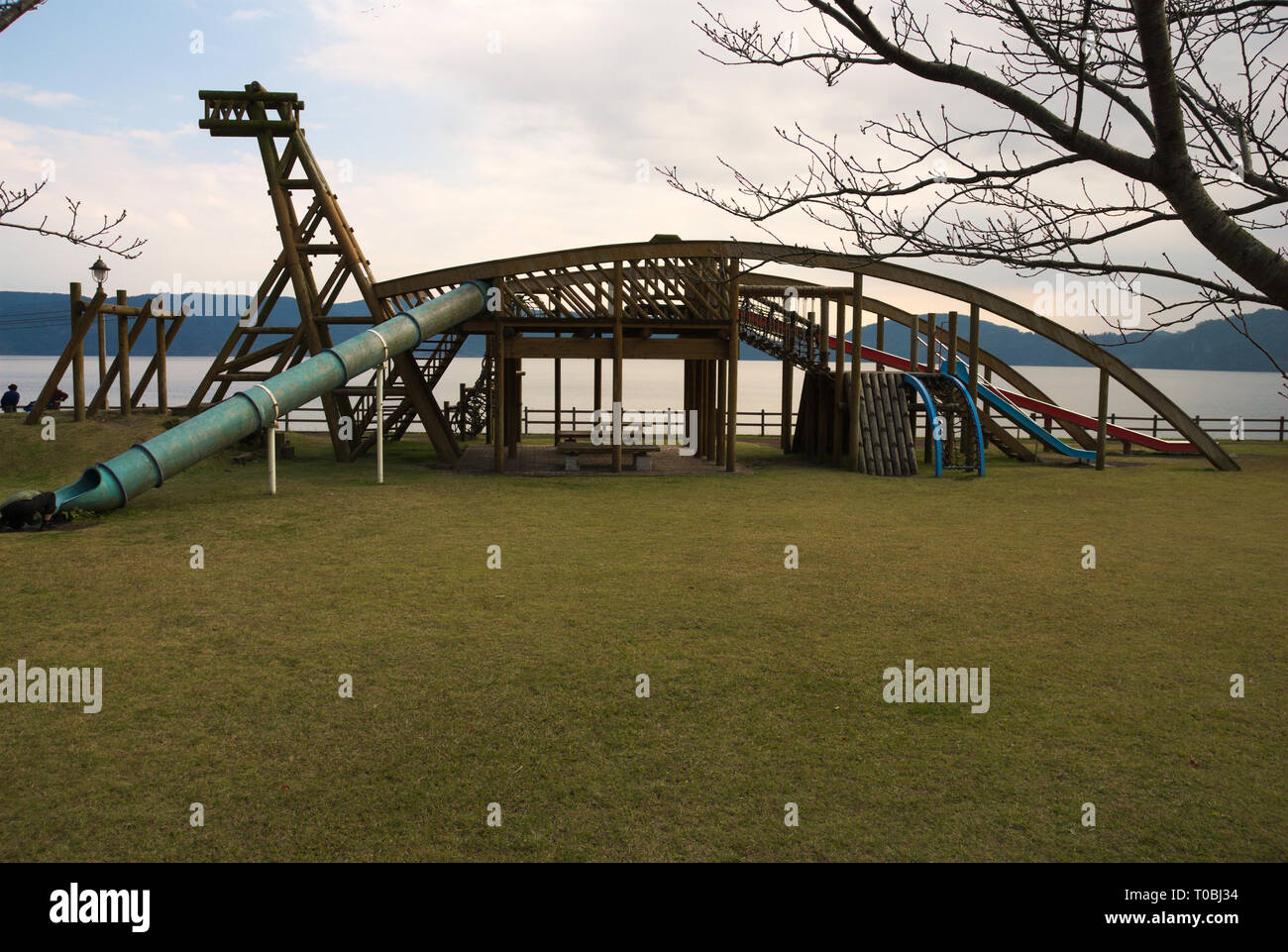 Isshie, il mostro del lago di Ikeda-ko, Ibusuki, Kagoshima, Kyushu, Giappone Foto Stock