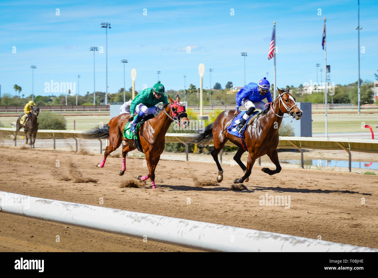 Vista del tratto finale per dei cavalli da corsa in esecuzione per la linea del traguardo al Rillito Park Race Track in Tucson, AZ Foto Stock