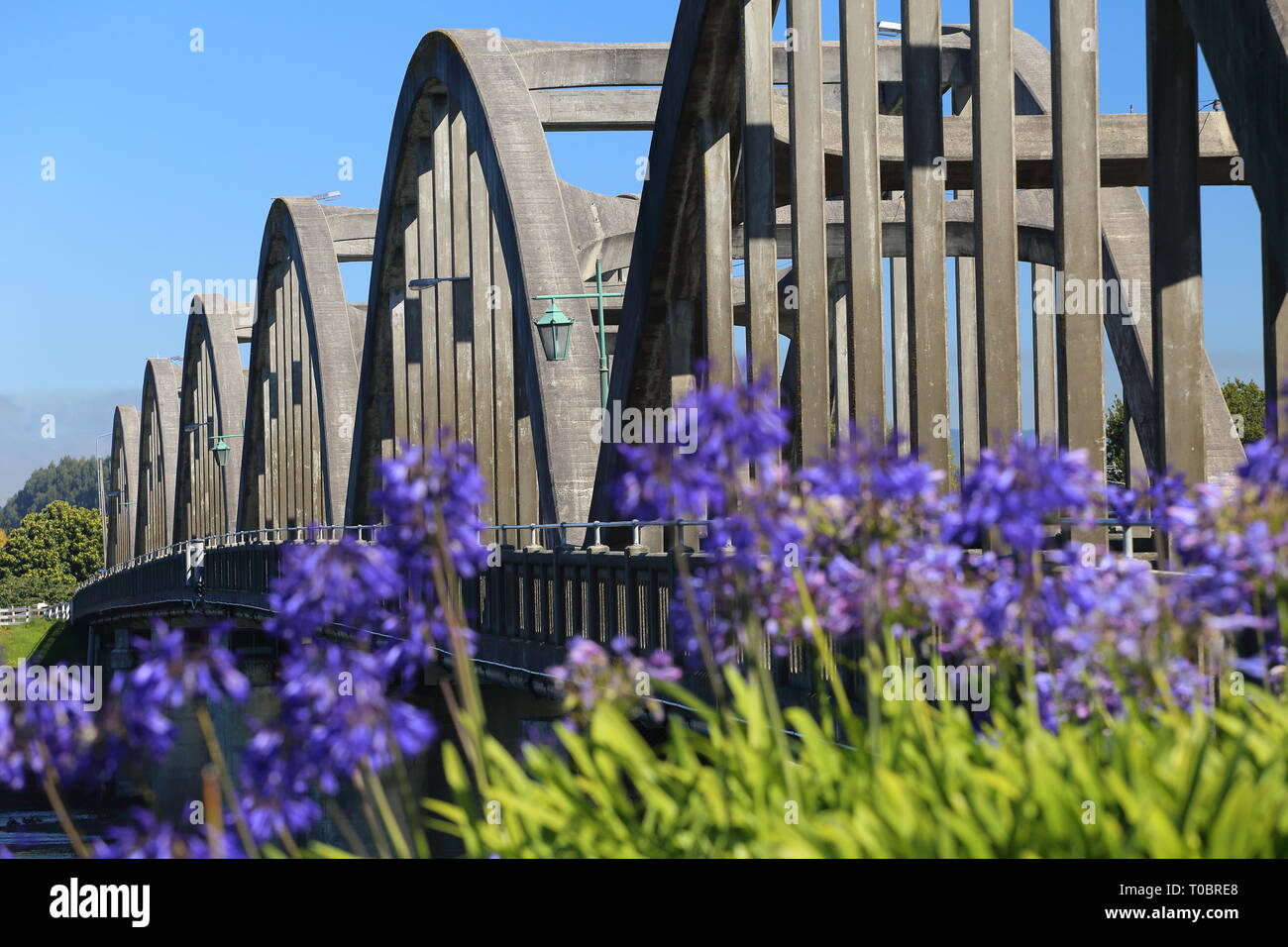 Balclutha Bridge, South Otago, Nuova Zelanda Foto Stock